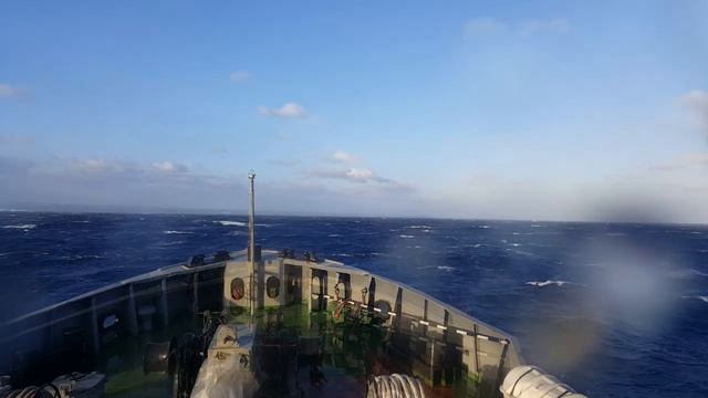 Зима в Тартусе смотреть онлайн