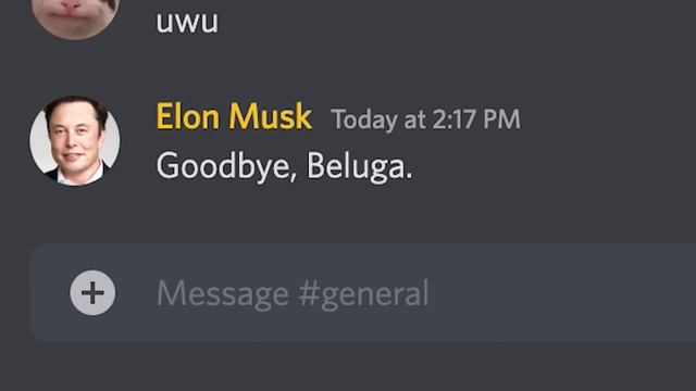 If Elon Musk owned Discord... смотреть онлайн