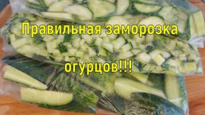 ПРАВИЛЬНАЯ ЗАМОРОЗКА ОГУРЦОВ ***ЭТО РЕАЛЬНО ВКУСНО И ПОЛЕЗНО , НО О ВКУСАХ НЕ СПОРЯТ !