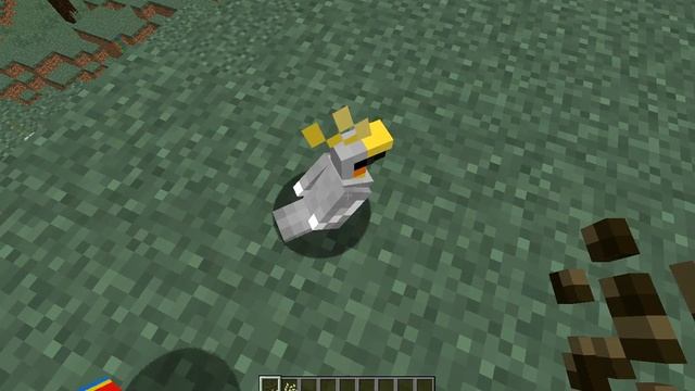 как приручить попугая в майнкрафте 1.12 !!! How to tame a parrot in minecraft 1.12 ! смотреть онлайн