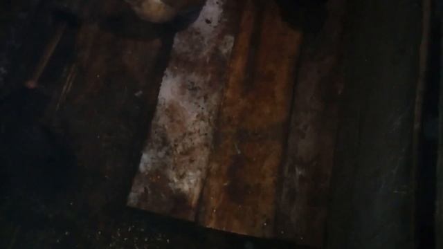 Клетки для маток смотреть онлайн