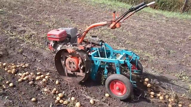 Сам копает ))) смотреть онлайн