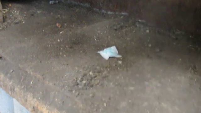 Яма - хроники.avi смотреть онлайн