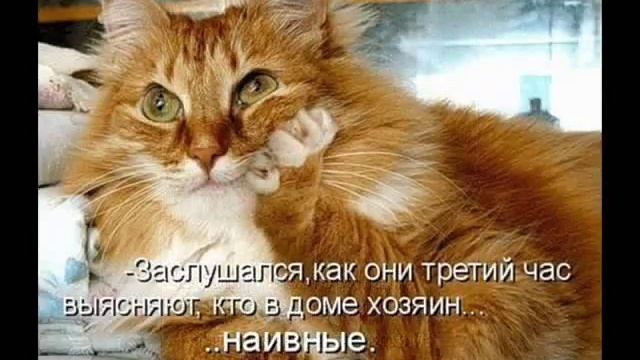 А хотите-я согрею вам душу ?! смотреть онлайн