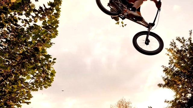 DIG TRAILS - 'WHY TURN IT DOWN - TURN IT UP' смотреть онлайн