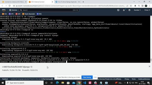 Hosting a Django project on AWS смотреть онлайн
