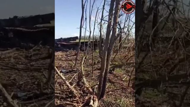 1? Хохлы пытались прикинуться русскими Наши братья по оружию уничтожили "Аллигатор". Похоже, тупые смотреть онлайн