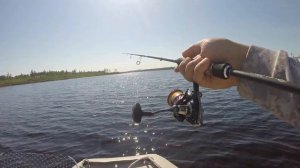 РЫБАЛКА на Бурейском водохранилище / 40+ щук за 3 дня / Июнь 2022 / Рыбалка в Амурской области