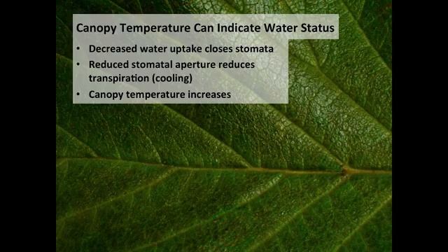 Using Infrared Thermometers for Plant Science Research - Mark Blonquist смотреть онлайн