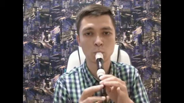 Elvis Presley - Can't Help Falling In Love блокфлейта (recorder cover) смотреть онлайн