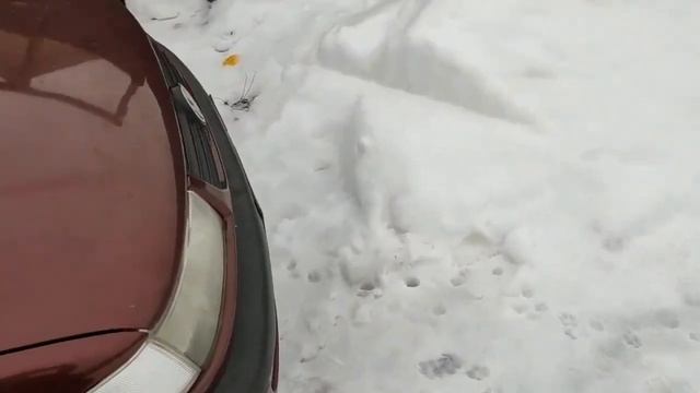 Volkswagen Passat B4 1995. первая машина. смотреть онлайн