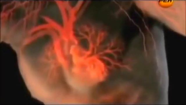 Тайны и удивительные свойства крови. Загадочная Голубая кровь смотреть онлайн