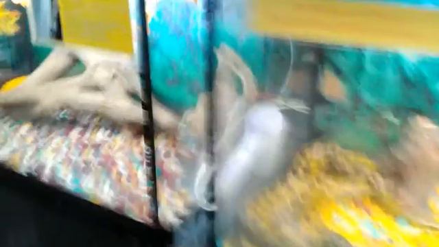 Зоопарк В Тимашевске смотреть онлайн