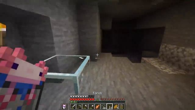 Wholesome Axolotls [Minecraft 1.17]