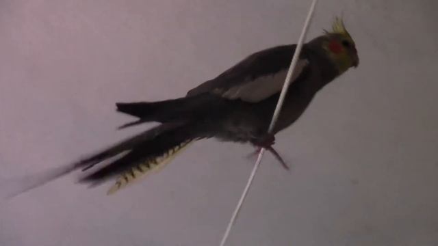 Не зевай рот по шире открывай смотреть онлайн