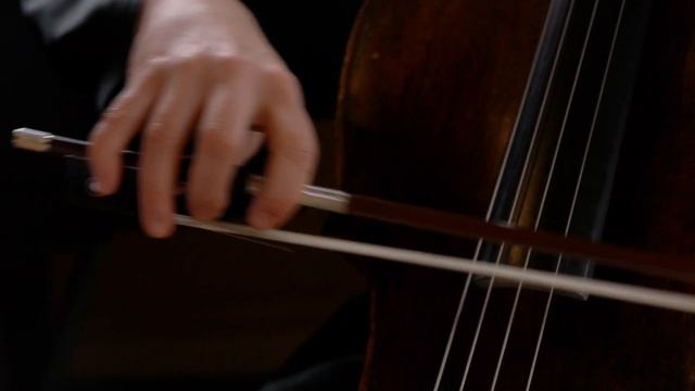Sutton House Music Society - Homerton High Street смотреть онлайн