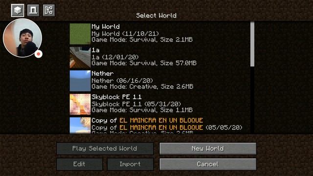 Cómo Convertir Minecraft PE En Minecraft Java ? смотреть онлайн