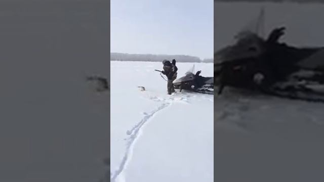 Заяц бег по кругу смотреть онлайн