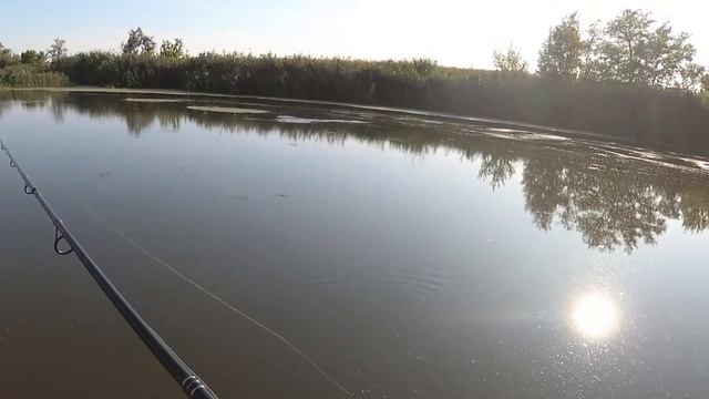 Выпуск №2. Ловим щуку и воблер. Учимся монтировать видео... смотреть онлайн