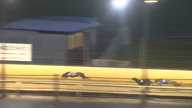 Greyhound 2023 - 21.02.2024 Trial 4 смотреть онлайн