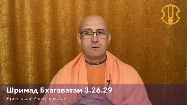 Центр развития харинамы смотреть онлайн