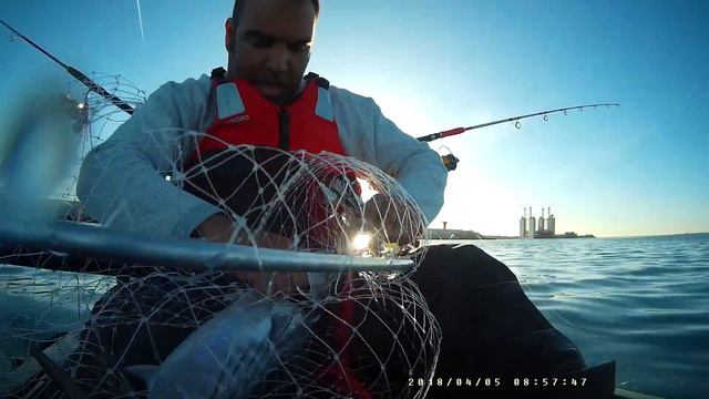 bonito смотреть онлайн