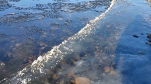 Рыбалка на притоке реки ГУР. Ловля ленка и хариуса поздней осенью.