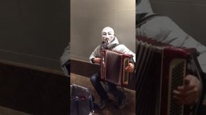Анон на баяне играет сектор газа колхозный панк