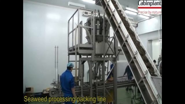 Переработка морской капусты. Полный цикл смотреть онлайн