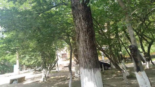 Узбекистан краткий экскурс по Янгиабаду, 2 июня 2023 г. смотреть онлайн