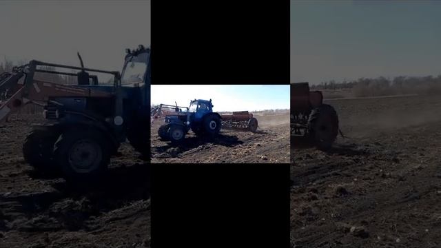 Пошла жара, Посев 2023 #belarus #lastochka #shorts смотреть онлайн