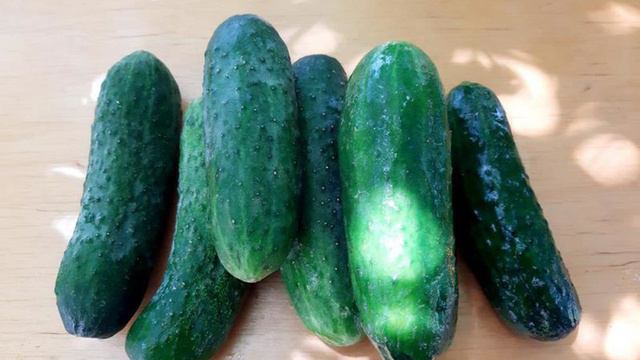 Книга рецептов