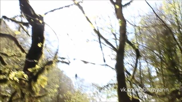 Река Мчишта, форелевое хозяйство рядом со скальным монастырем в селе Отхара в Абхазии. 8 апреля 201 смотреть онлайн