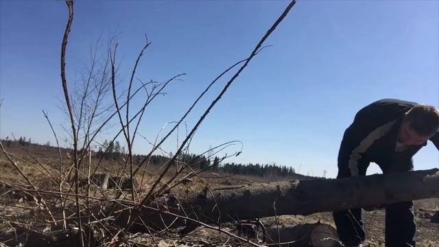 Дедовск. В лес за дровами для мангала смотреть онлайн