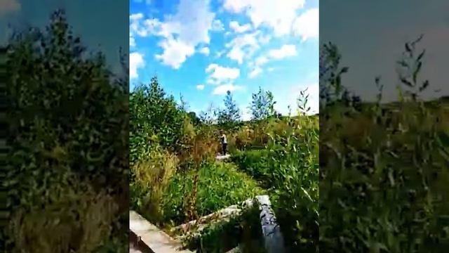 проект Как ловить ящериц смотреть онлайн