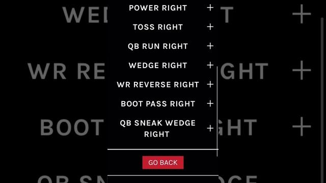 The DrillZBall™ Smart Football comes with an American Football Playbook for your pocket. смотреть онлайн