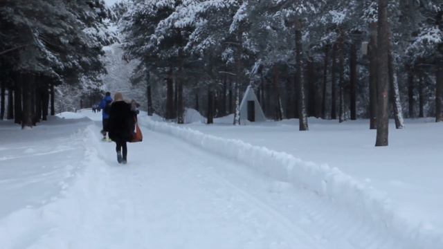 Забег на Кубок кристальной трезвости 1 января 2015 смотреть онлайн