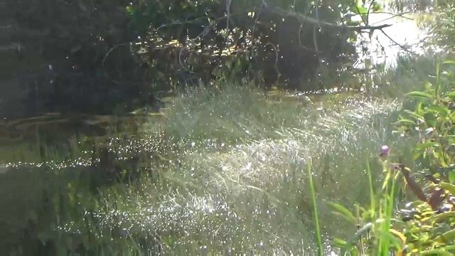 HASIL ZOOM HANDYCAM SONY CX405 ➡️ YOUTUBER PEMULA WAJIB PUNYA смотреть онлайн