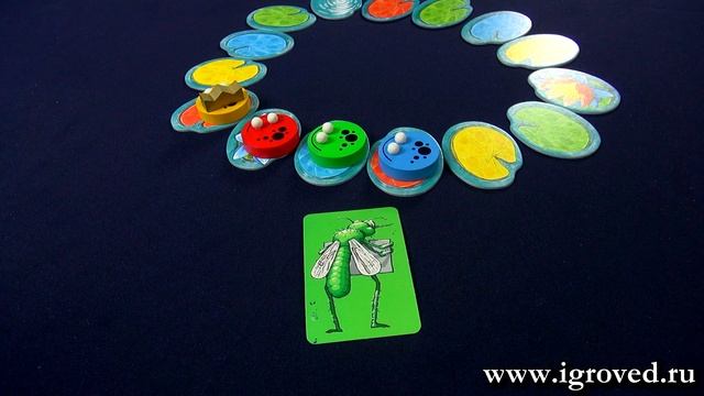 Квароль лягушек. Обзор настольной игры от Игроведа смотреть онлайн
