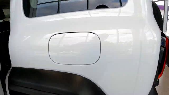 TANK 300. 2л 220л.с на АИ-92! Конкурент TOYOTA PRADO.