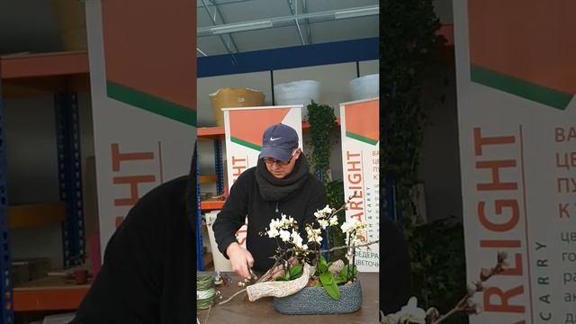 Креативная композиция из мини орхидей своими руками смотреть онлайн