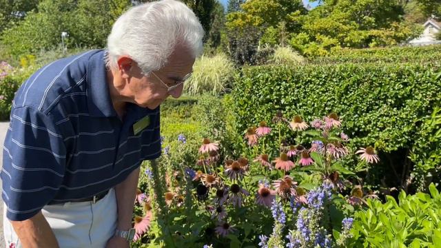 Plant Profile: Great Blue Lobelia смотреть онлайн