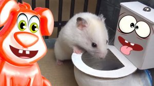 Что Хомяк Нашёл В Унитазе Желейный Стасик Умирает Со Смеху.