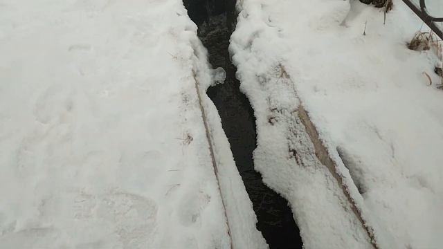 Учительский родник в Курьях смотреть онлайн