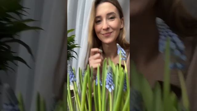 Вика - начинающий цветовод. В ролях гиацинт и фикус Наташа ? смотреть онлайн