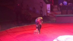 Медведи в цирке! Медведь на велосипеде, мотоцикле и машине!