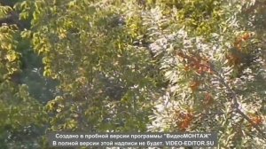 бомж нашел идеальное место для жизни в центре Набережных Челнов  у него огород и живет  как на даче