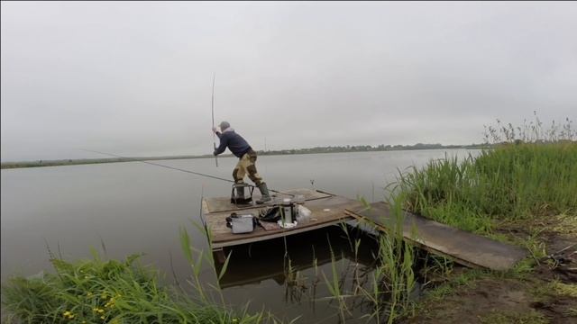 База Удача.Водоём с БЕЛЫМ АМУРОМ. Рыбалка в удовольствие.Карась есть. #иванычловит смотреть онлайн