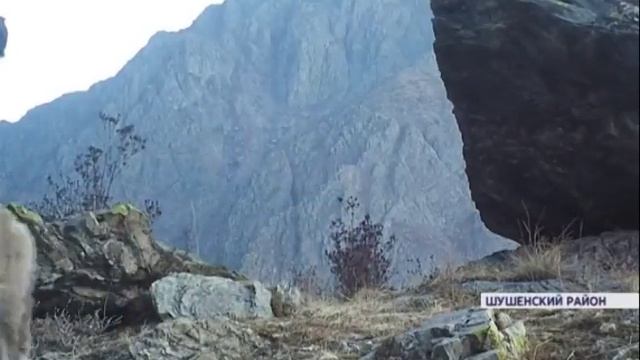 30 новых видеоловушек установили в Саяно-Шушенском заповеднике смотреть онлайн