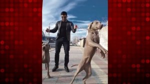 Как живет Ислам Итляшев и сколько зарабатывает? Доход исполнителя хита «Хулиган» стремительно расте